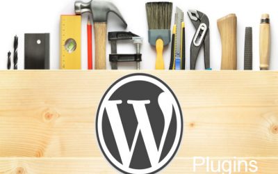 What are the most popular WordPress Plugins?